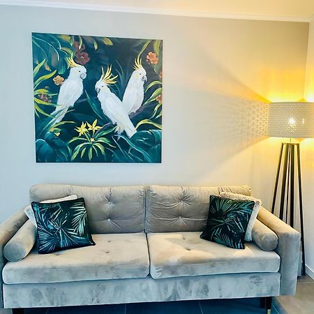 Appartement De Standing Proche Centre Ville Et Gare ミュルーズ エクステリア 写真